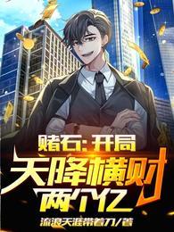 赌石:开局天降横财两个亿叶青柳月