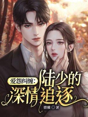 爱怨纠缠:陆少的深情追逐