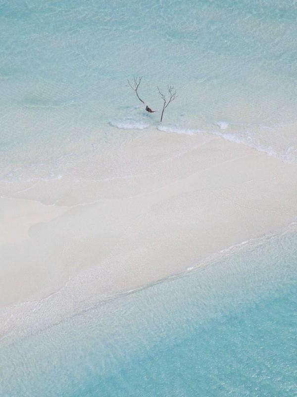 端午祭祀被黄大仙讨封后,我拥有了读心术