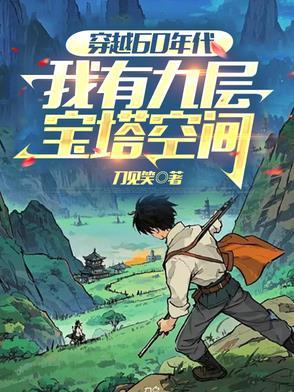 穿越60年代,我有九层宝塔空间