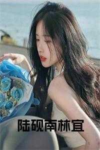 陆砚南林宜正版小说