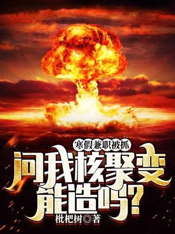 寒假兼职军火商被抓,问我核聚变能造吗?