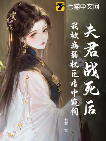 夫君战死后,我被病弱权臣暗中窥伺