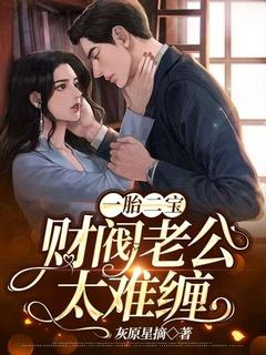 一胎二宝:财阀老公太难缠