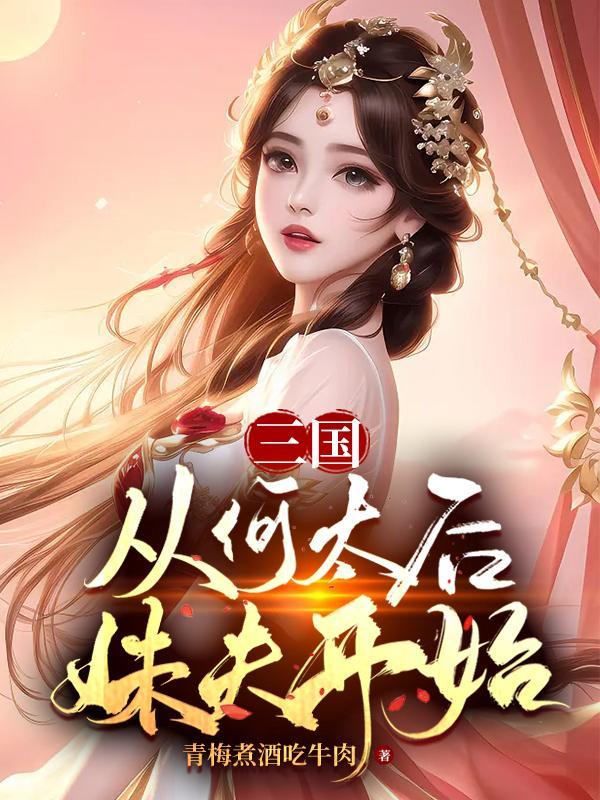 三国:从何太后妹夫开始