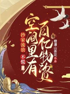 抄家流放?不慌,空间里有百亿物资