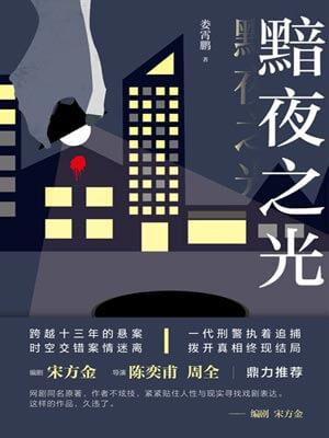 黯夜之光(尘封十三载原著小说)