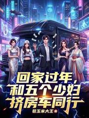 过年回家，和冷艳总裁挤房车同行