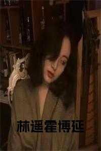 林遥霍博延小说免费