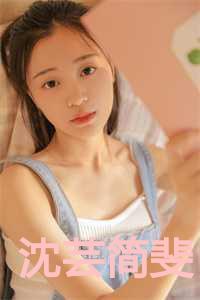 沈芸简斐