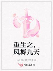 重生之,凤舞九天