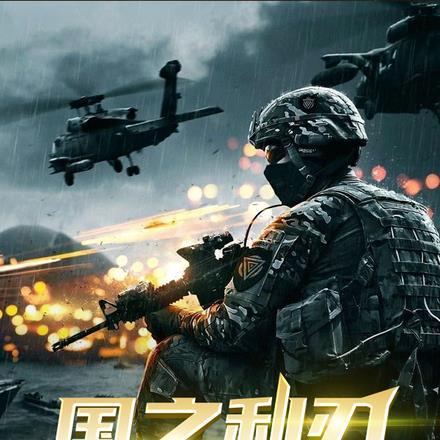 国之利刃，特战兵王