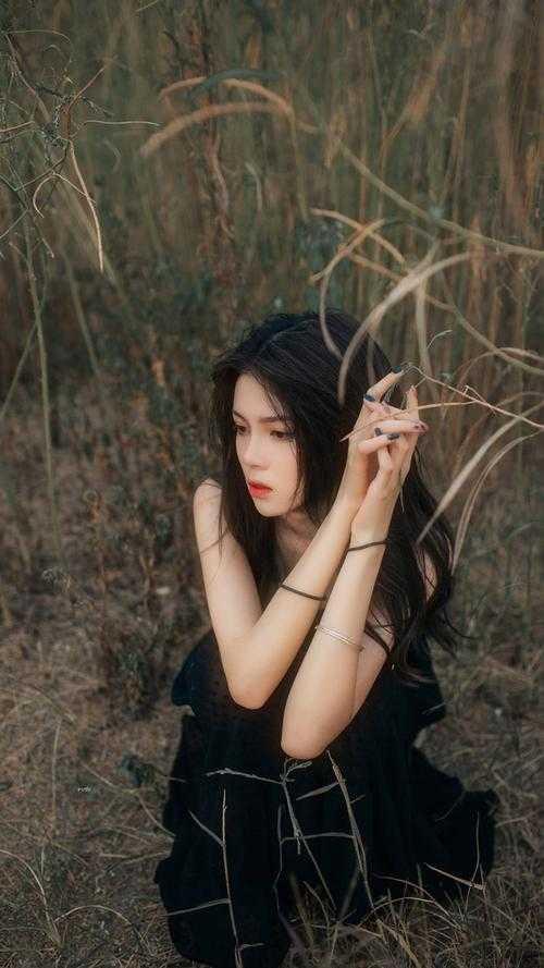 沈枝沈莲