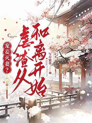 宠妾灭妻?虐渣从和离开始!