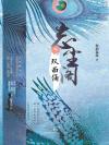 忘尘阁3:双面俑