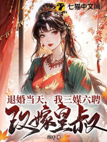 退婚当天,我三媒六聘改嫁皇叔